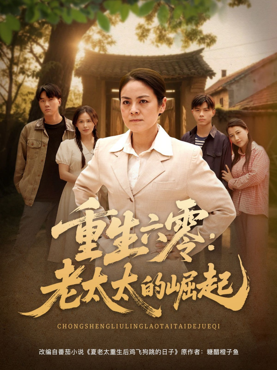 重生六零：老太太的崛起