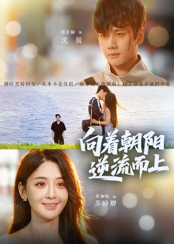 向着朝阳逆流而上