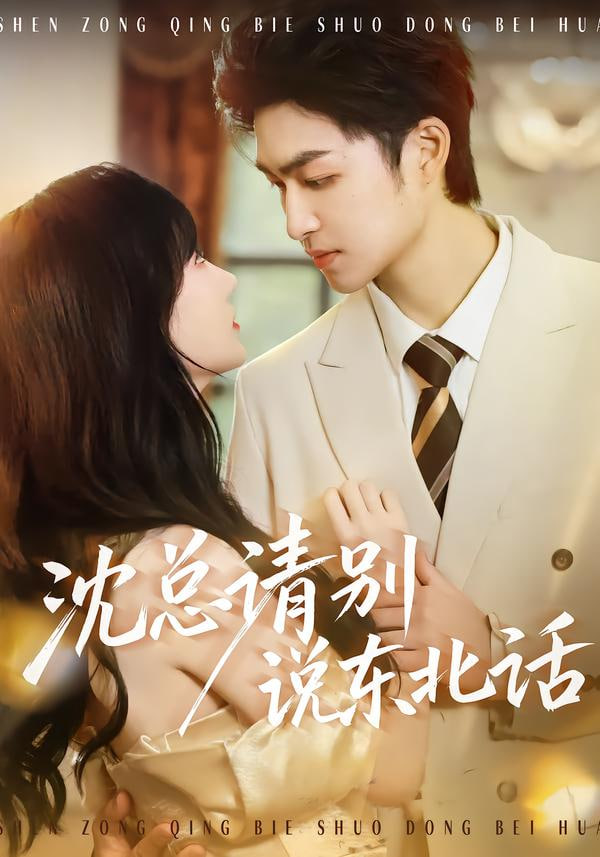 沈总请别说东北话